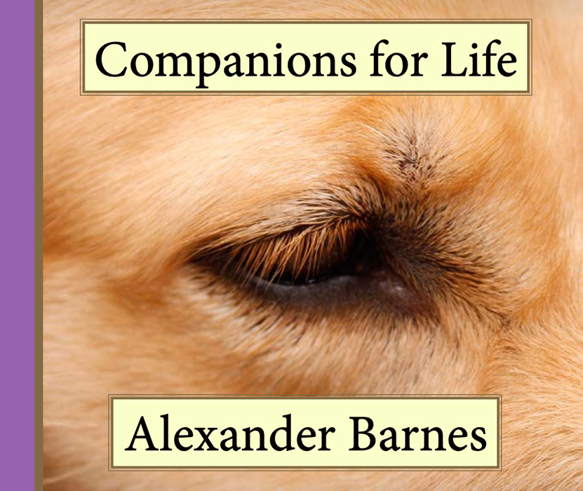Book by Alexander Barnes